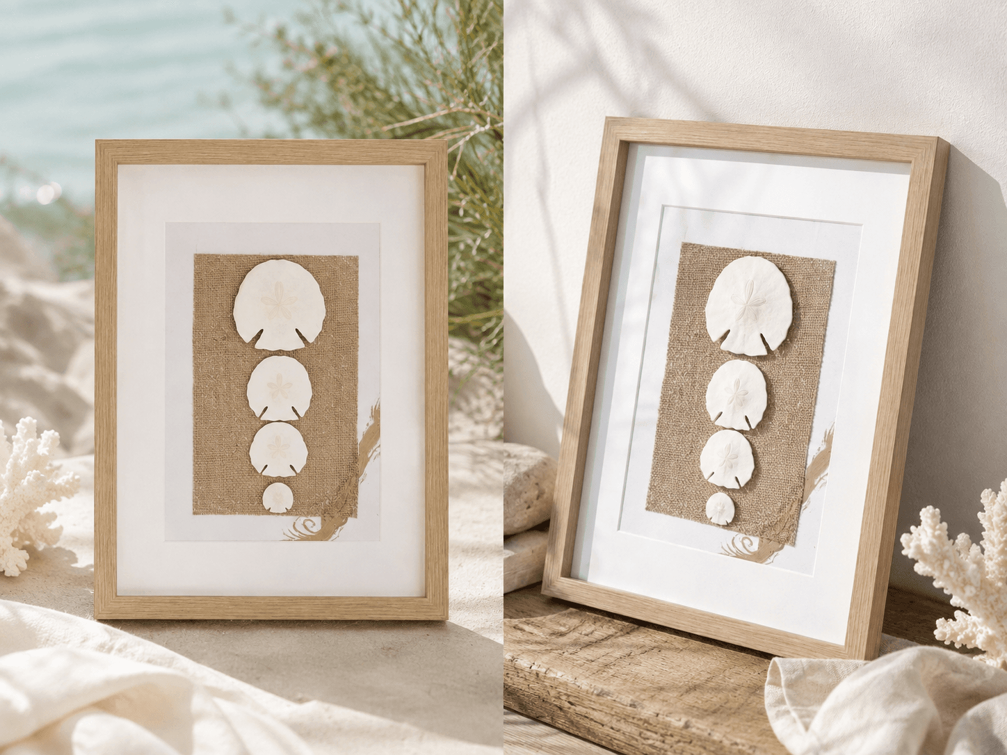 Framed Sand Dollar Coastal Wall Art