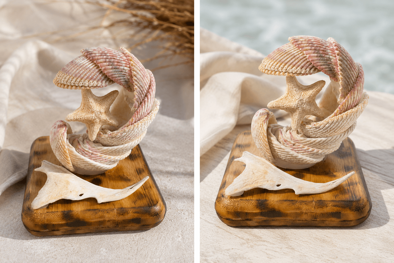 Coastal Shell Sculpture